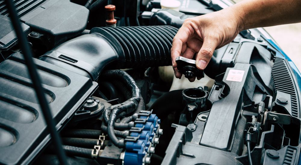 man checking a car radiator